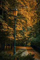Lampa © Sebastian