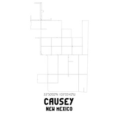 Causey New Mexico. US street map with black and white lines.