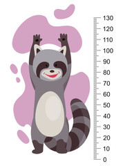 Fototapeta na wymiar Height measure with growth ruler chart with cute cartoon raccoon animal. Funny kids meter, wall scale from 0 to 130 centimeter to measure growth. Children room wall sticker as interior decor