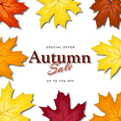 Autumn Sale Banner