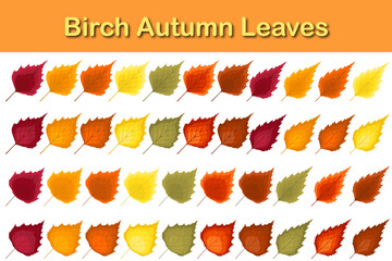 Birch Tree Leaf Set