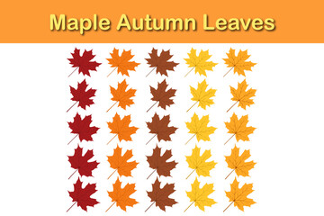 Autumn Maple Leaf Set