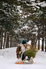 A couple having fun with sleigh in a Christmas tree forest , eating mandarins and enjoying a snowy...