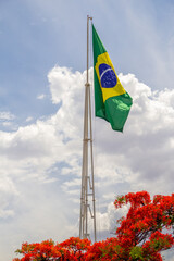 Bandeira do Brasil hasteada com céu nublado ao fundo e flores de um flamboyant florido na parte de...