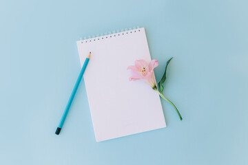 Notebook with blank page, pink flower and pencil on light blue background.