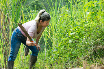 beautiful young latin peasant woman, with a machete in her hand, cutting weeds and bushes that are...