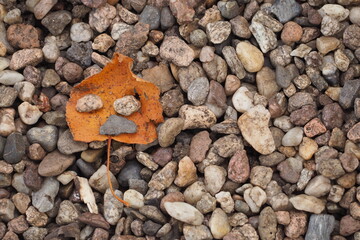 Pomarańczowy jesienny liść wśród małych kamyczków