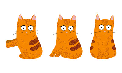 Set of red cats in different poses