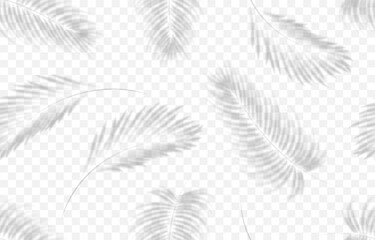 Seamless pattern of realistic transparent shadows tropical leaves isolated on a transparent background. Vector illustration