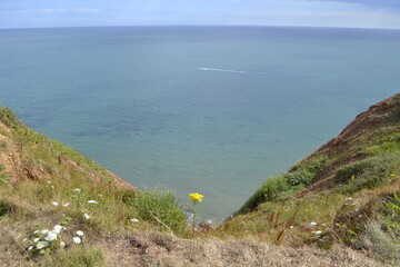 Sea view from V-shape cliffs, with a single yellow flower in the middle and a motorboat in the...