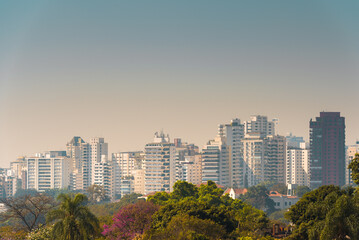 Fototapeta na wymiar Sao Paulo Building Skyline View From the Park