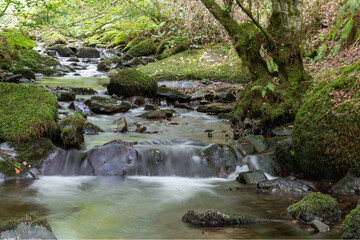 Long exposure of a waterfall on the Horner Water river in Horner woods in Somerset