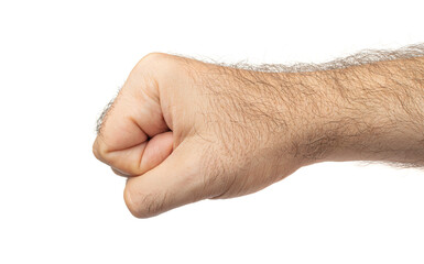 Fototapeta premium Hairy Men Fist Isolated, Hand Cut Out, Man Fist on White Background