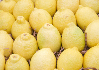 Close up of organic lemons on display for sale at fruit stand. Fresh summer fruit.