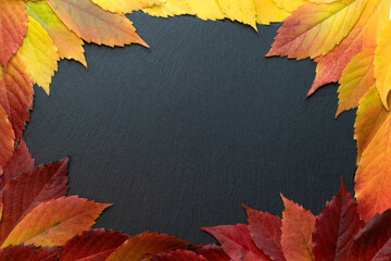 Naklejka na ściany i meble Autumn yellow and red leaves on dark background as frame