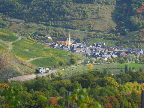 Herbst an der Mosel bei Senheim und Nehren