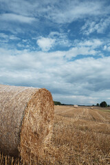 Straw stubble in the field after harvest and clouds