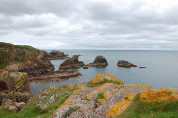 Fototapeta na wymiar view of the coast of brittany