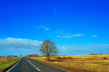 country road in autumn