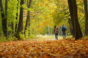 Fototapeta premium Lovers walking in the autumn park