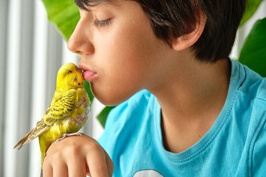 boy kissing his green parakeet