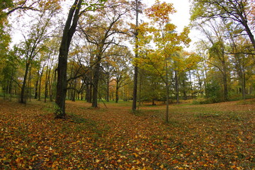 Park in Świerklaniec, Fall season