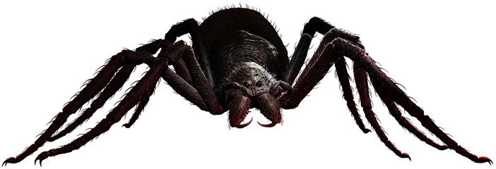 Giant spider on the ground 3D illustration	 - obrazy, fototapety, plakaty
