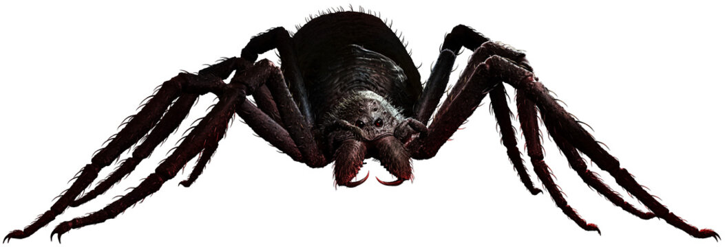 Giant spider on the ground 3D illustration	