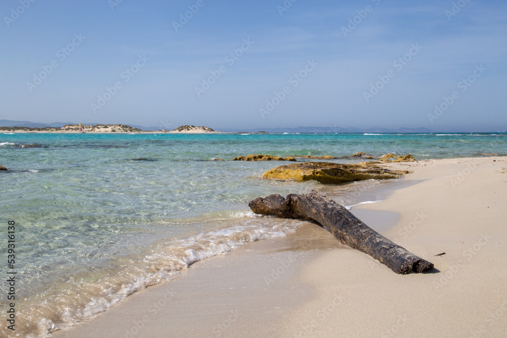 Wall mural rocky beach with a turquoise blue sea and a piece of wooden and waves in spain