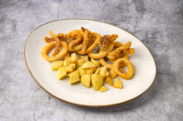Plate with onion rings and fried potatoes