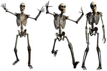Fantasy horror skeletons 3D illustration - obrazy, fototapety, plakaty