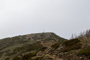 Forest during autumn full of trees of different colors and fog