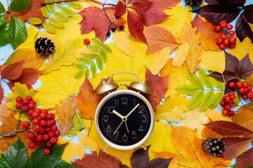 Golden vintage clock on the background of autumn leaves, cones and rowan berries. Daylight saving...