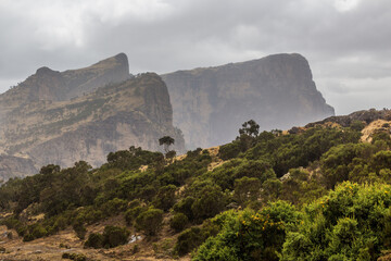 Fototapeta na wymiar Landscape of Simien mountains, Ethiopia