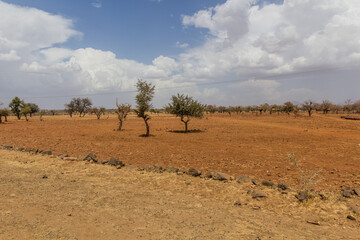 Fototapeta na wymiar Landscape of Tigray region, Ethiopia
