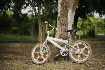 old dirty children's bike leaning against a tree