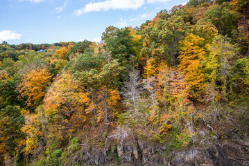 Obraz premium autumn in the mountains