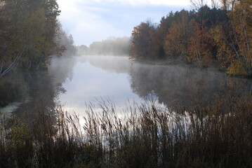 Naklejka na ściany i meble pond with fog
