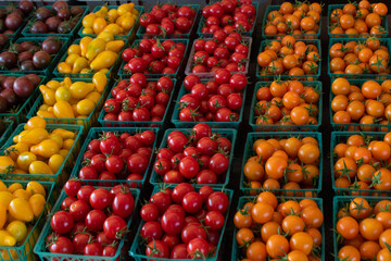 Naklejka na ściany i meble tomatoes at the market