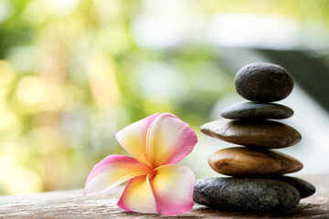 Plumeria flowers and stone on nature background.