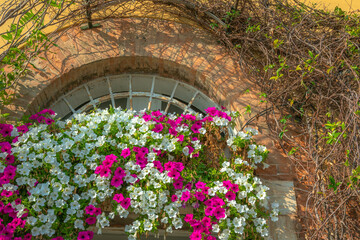Arched window and flower balcony of Venetian house at springtime, Venice, Italy