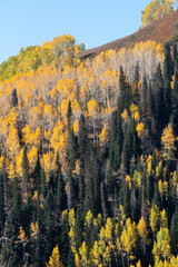 autumn in the mountains