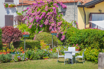 Fototapeta na wymiar Garden with flowers in back yard at sunny springtime, Lake Garda, Italy