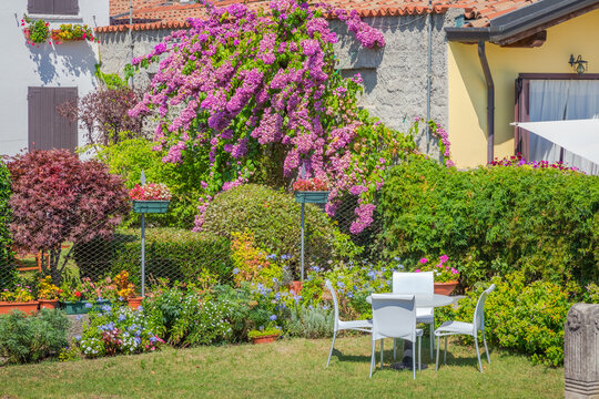 Garden with flowers in back yard at sunny springtime, Lake Garda, Italy