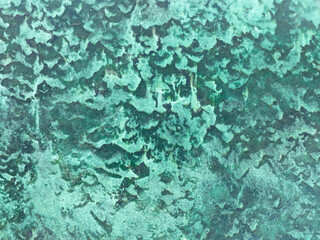 An aerial view shows a seagrass growing on a shallow sand flat that is often affected by currents and ocean waves. Seagrass meadows offer habitat for many juvenile reef fish and invertebrates.
