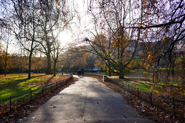 Scene of pathway and withered trees with leaves fall on green grass in morning at park in London.