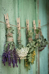 Bunches of different beautiful dried flowers hanging on rope near old wooden wall