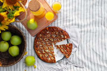 Delicious pie, apples and juice on striped blanket outdoors, flat lay. Picnic season