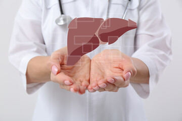 Doctor with stethoscope and illustration of healthy liver on light background, closeup