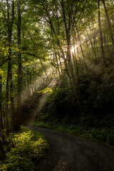 Fototapeta na wymiar Balsam Mountain Road With Shafts of Morning LIght and A Sunburst